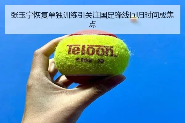 张玉宁恢复单独训练引关注国足锋线回归时间成焦点（OUBO）